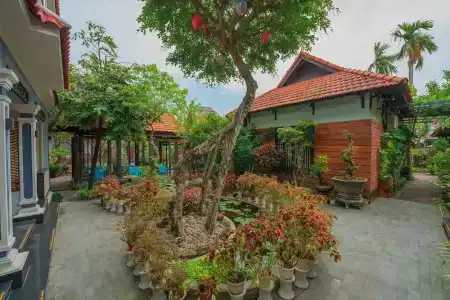 Betel Garden - 110
