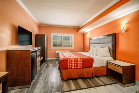 Rodeway Inn & Suites - - 15