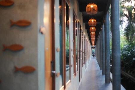 The Buffalo Amphawa - 8