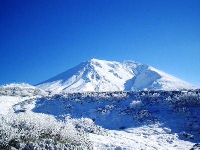 Asahidake Onsen Deer Valley - 23