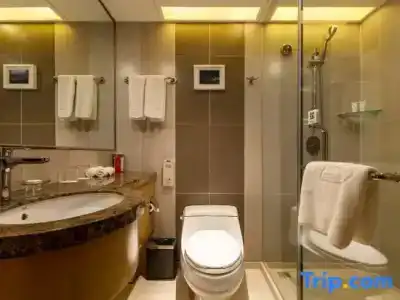 Grand Skylight Catic - 60