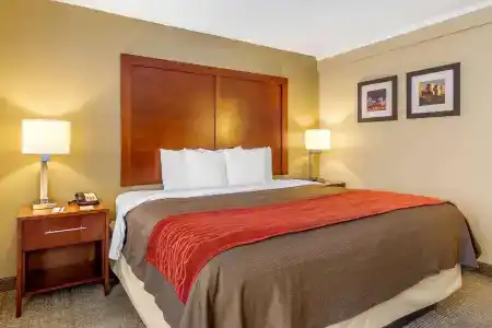 Comfort Inn Denver Central - 47