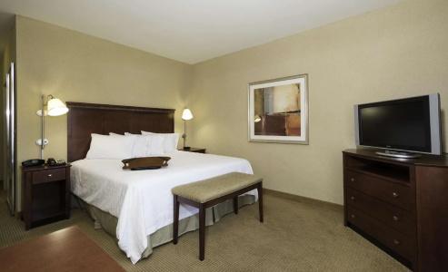 Hampton Inn & Suites I-20 - 60
