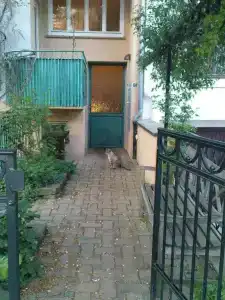 Gästeträume Im Viertel - 18