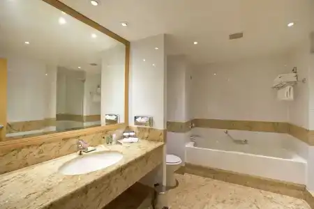 Hilton Paris Charles De Gaulle Airport - 9