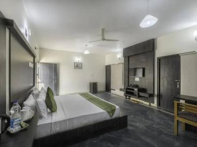 Treebo Silicon Business - 12