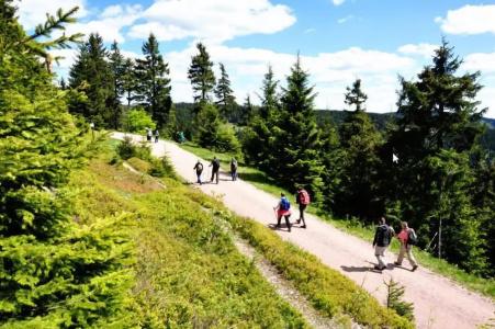 & Pension Traumblick - 19