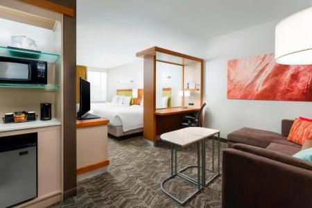 SpringHill Suites by Marriott San Diego Mission Valley - 50