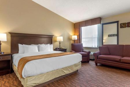 Comfort Inn at Thousand Hills - 62