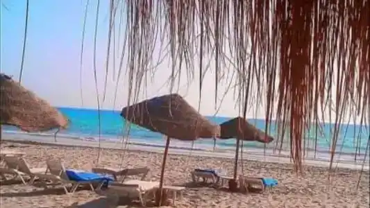Djerba Haroun - 7