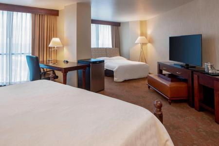 Sheraton Houston Brookhollow - 38