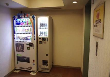 Hida Takayama Washington Plaza - 11