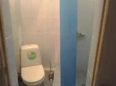 Тюльпан - 16