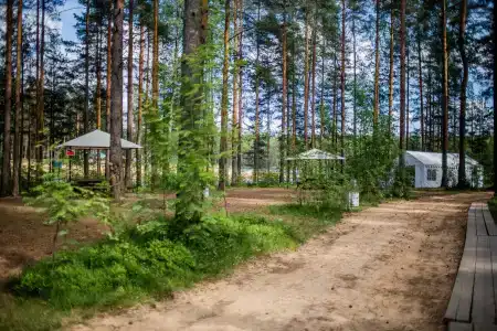 Eco park Korkino Lake - 12