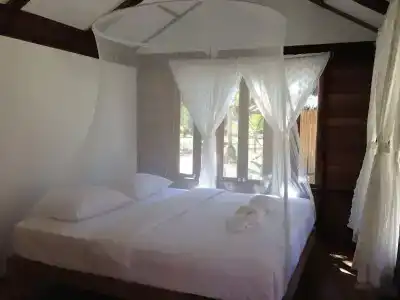 Jungle Koh - 4