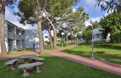 AluaSun Cala Antena - 14