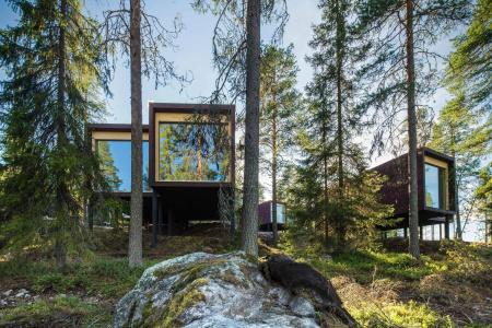 Arctic TreeHouse - 38