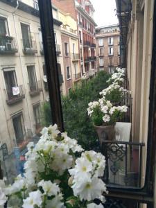 Las Fuentes - 29