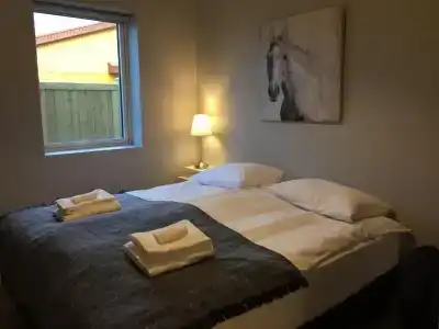 Reykjadalur - 49
