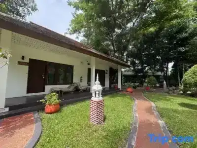Mango T. Villa Chiangmai - 80