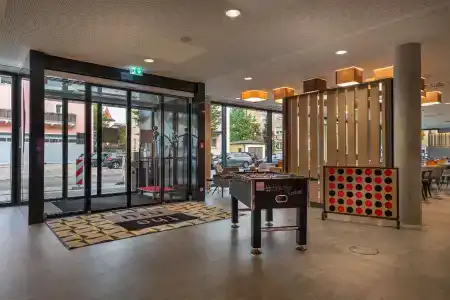 the niu Timber - 1