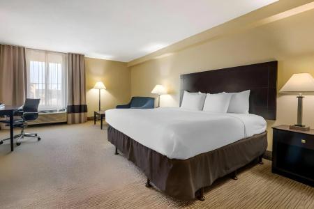 Comfort Inn International Drive - 4