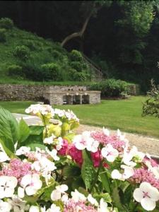 Le Manoir des Impressionnistes & Spa - 11