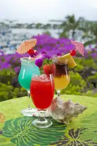 Prince Waikiki - 14
