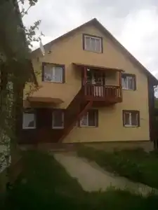 Барвінок - 31