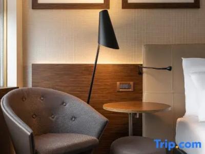 Crowne Plaza Geneva, An Ihg - 52
