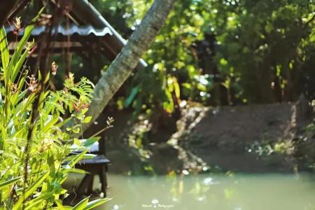 Banmaihom Amphawa - 19