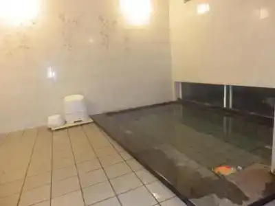 Nakayasu Ryokan - 20