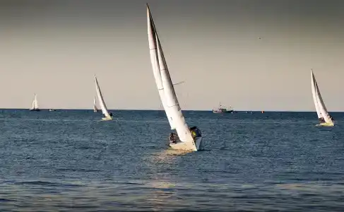 Diána - 19