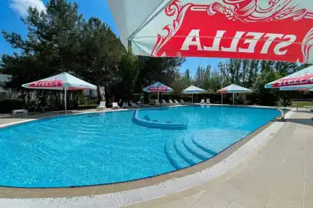 Мечта - 20