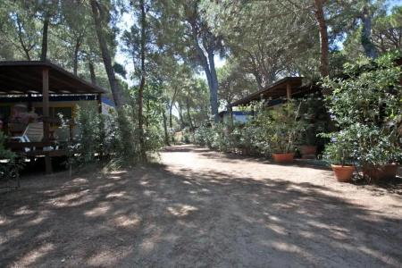 Camping Village Il Sole - 39