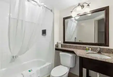 Comfort Inn 290/Nw - 56