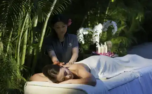 The Kahala and Resort - No Resort Fee - 26