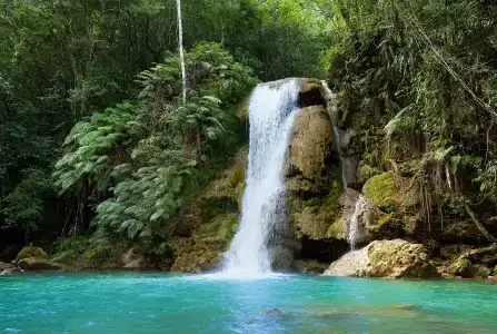 Grand Paradise Samana All Inclusive - 21