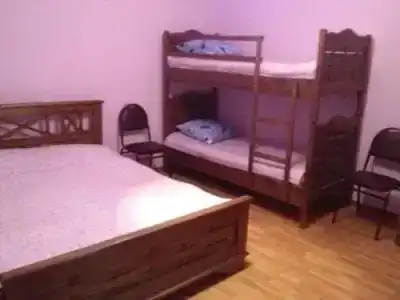 Borjomi Park Guest House - 3