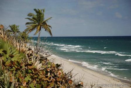 DoubleTree by Hilton Grand Biscayne Bay - 25