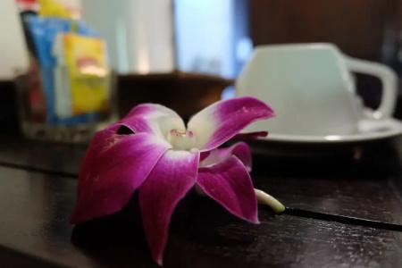 Lanta Mermaid Boutique House - 73