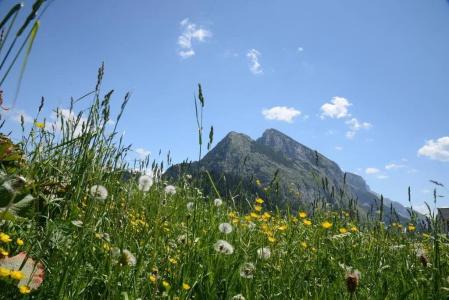 Der Alpenblick - 11