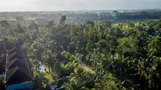 Ubud Raya - 11