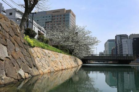 Okura Fukuoka - 41