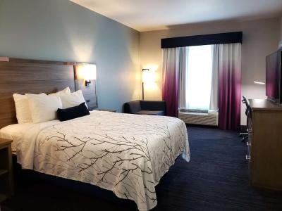Best Western Plus San Antonio East Inn & Suites - 1