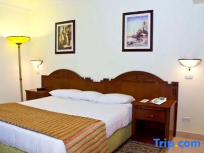 Tolip Aswan - 61