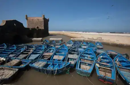 Riad Emotion - 18