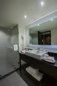Holiday Inn Guadalajara Expo Plaza Del Sol, An Ihg - 77