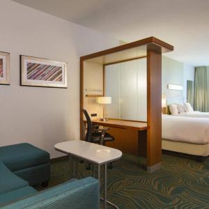 SpringHill Suites by Marriott Nashville Vanderbilt/West End - 29