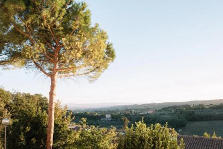 Locanda Stella - 26